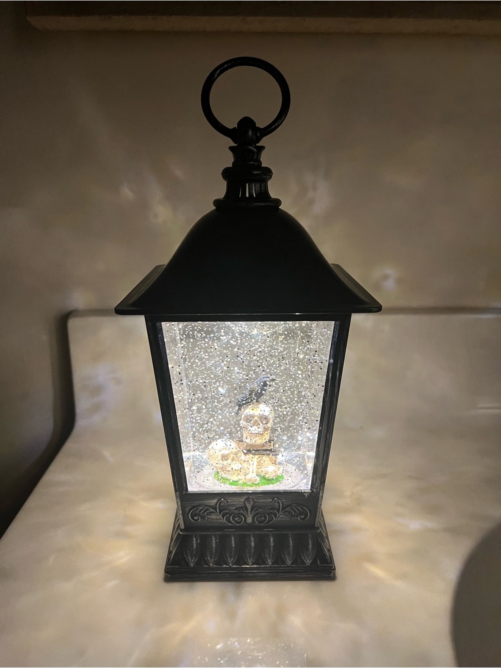 Halloween Lantern Snow Globe Lighted WORKING Battery Glitter Skulls Crow Books